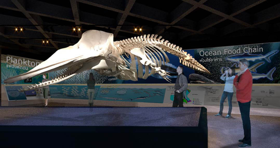 Whale skeleton exhibition in BIMS main entrance hall